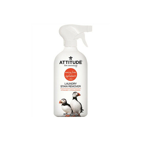 Laundry Stain Remover (800ml)